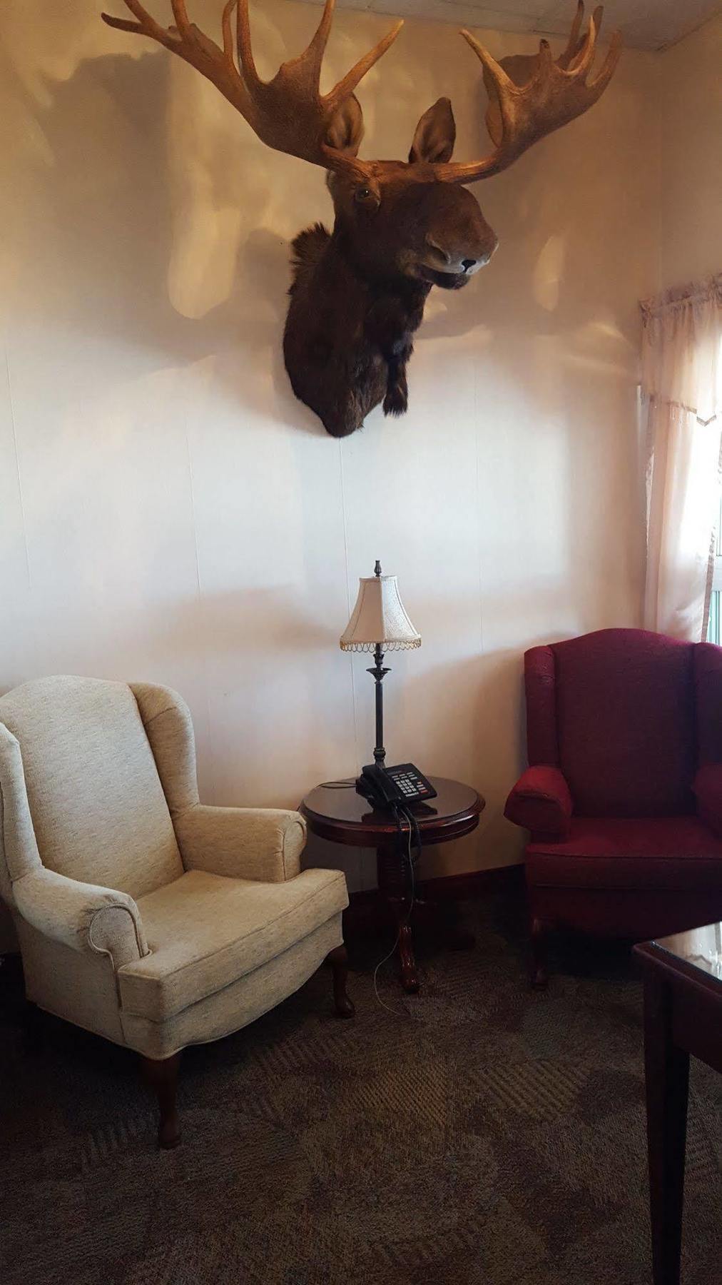 Hotel Port Aux Basques Zewnętrze zdjęcie